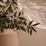 Daire Casa Panoramica Rovinj