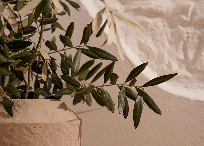 아파트 Casa Panoramica 로비니