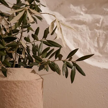 アパート Casa Panoramica ロヴィニ